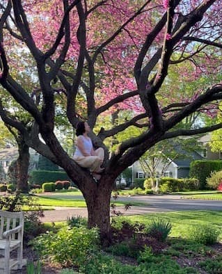 Cynthia sitting in a cherry blossom tree
